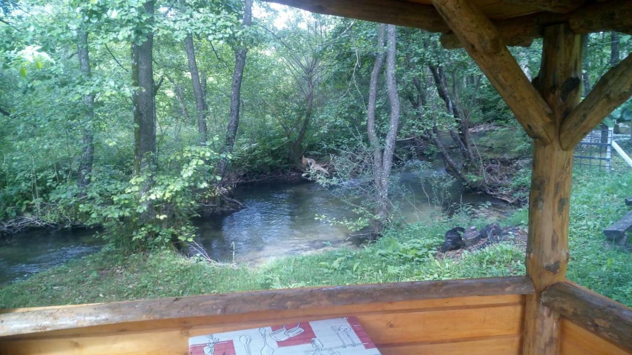 Hotel Plitvice Mountain Spring à Korenica Extérieur photo